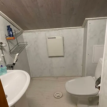 Center, Floor, Entire Attic Mäntyharju