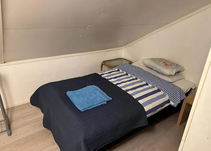 Center, Floor, Entire Attic Mäntyharju